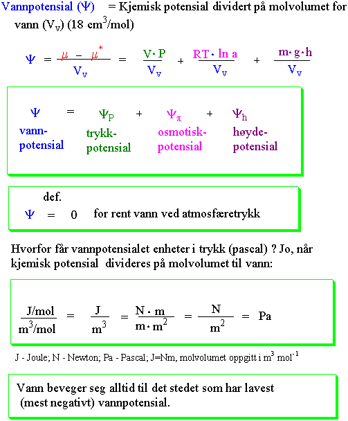 Vannpotensial