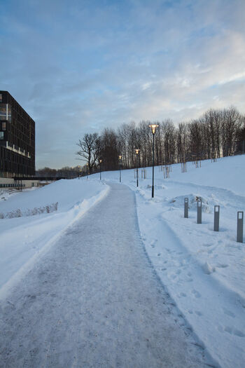 Cloud ,Sky ,Snow ,Building ,Tree.