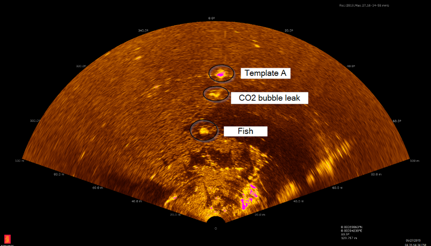 M3 sonar image