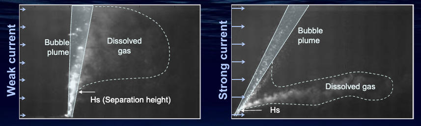 Separation of dissolved gas and bubbles.