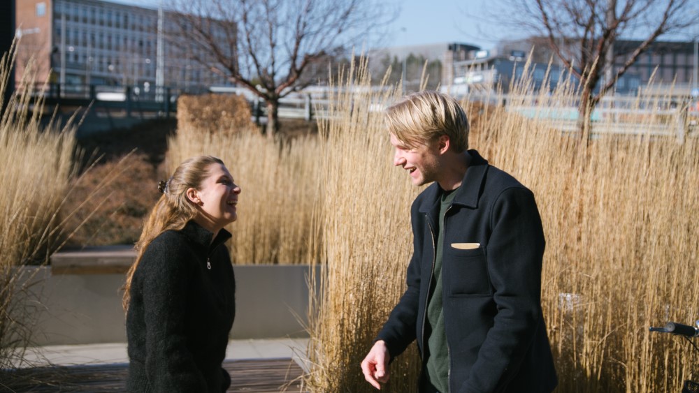 To studenter ler sammen på campus.