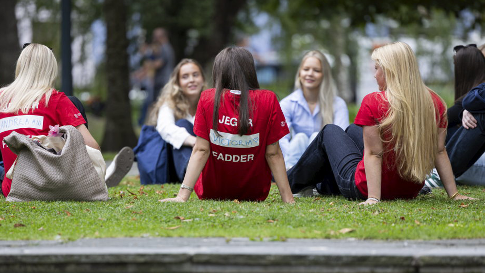 Studenter som sitter på en gressplen