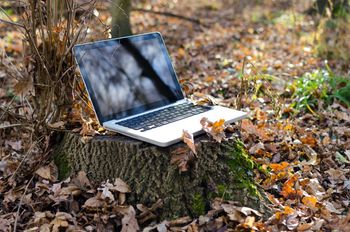 laptop in a forest
