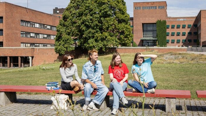 Bildet kan inneholde: offentlig plass, fritid, plen, campus.