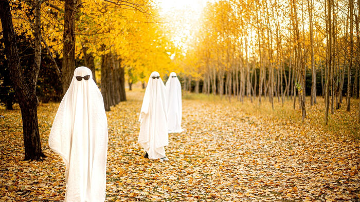 Forrest with ghost, halloween theme picture