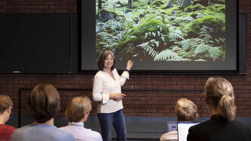 foreleser, studenter i sal