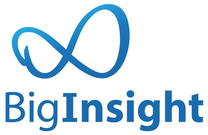 blue big insight logo