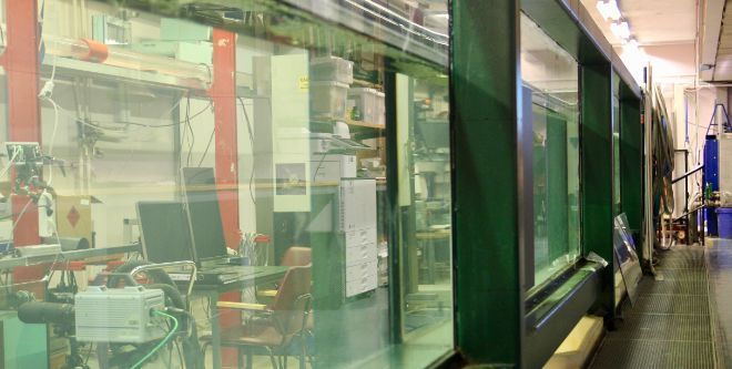 Water wave tank
