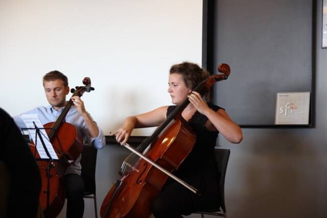 Bildet kan inneholde: musikkinstrument, strengeinstrument, fiolinfamilie, kordofon, musikk.