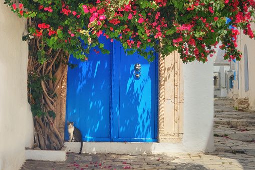 Image shows a typical Tunisian gate in Hammamet