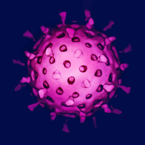 virus