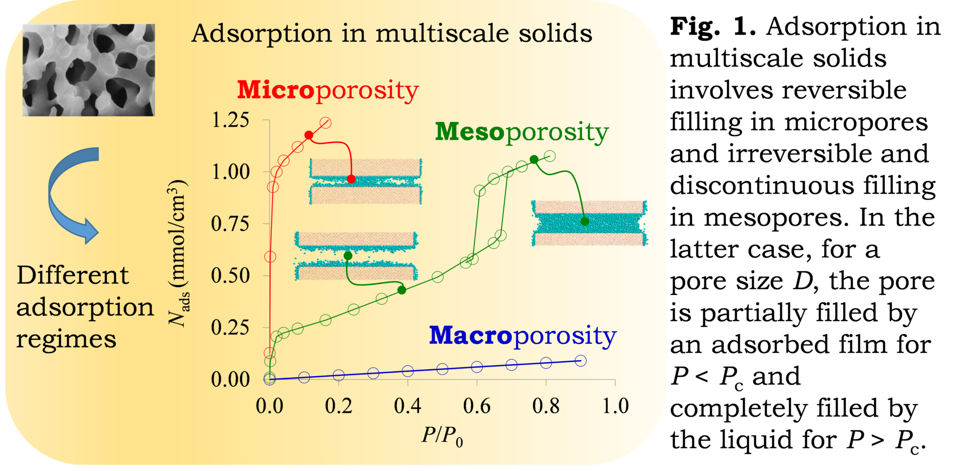 Multiscale solid in upper, left angle and arrow below it pointing to a plot of a different adsorption regimes. The plot distinguishes between micro-, meso-, and macroporosity. 