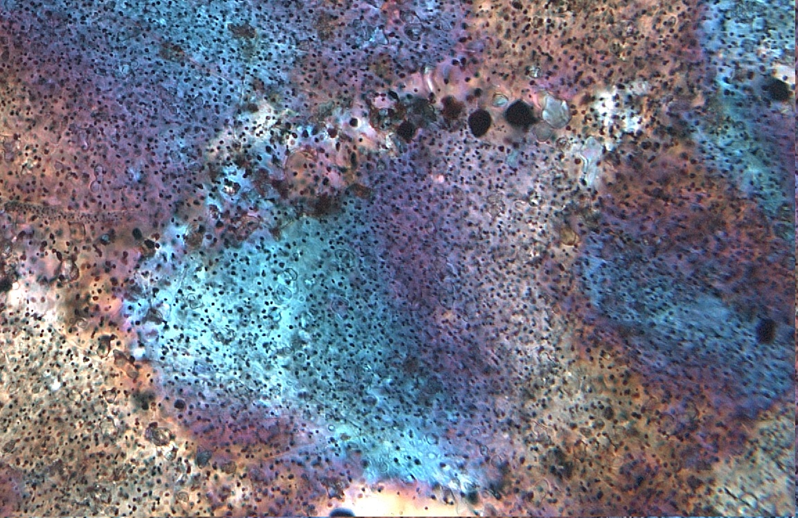 Microscopic image of rock with colours in turquoise, purple and brown.