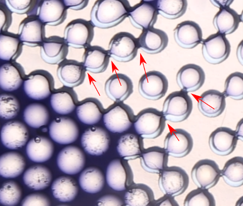Circular, blue grains with a liquid moving through it and red arrows indicating the movement of the air between the grains. 