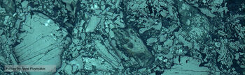 kamuflere ,vann ,geologisk fenomen ,mønster ,berggrunn.