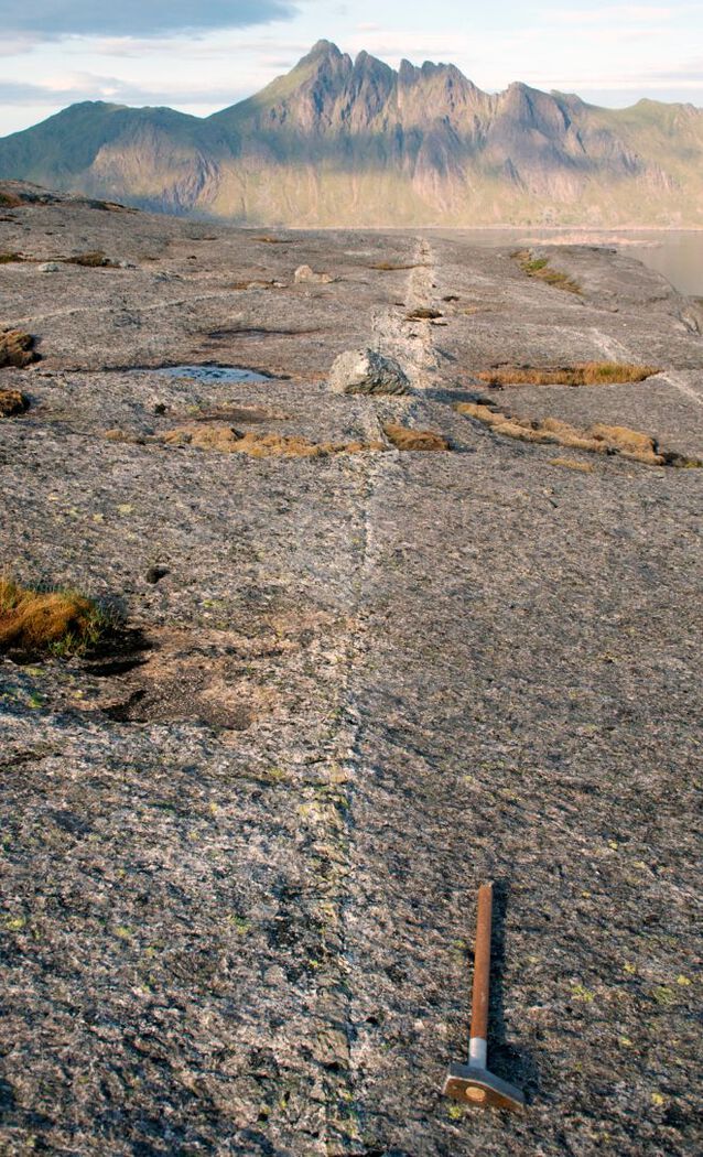 Picture showing rocks with three light grey lines that are three examples of the shear zones described in the paper.