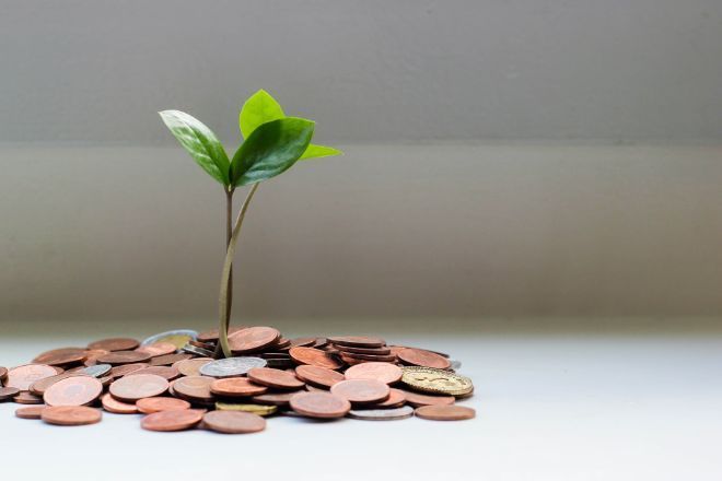 Coins in a pile on a white surface, small plant with a couple of leafes growing from the pile of coins.