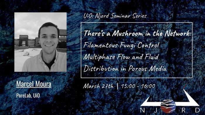 A poster for a Njord seminar showing presenter, title, date, Njord seal, and Zoom link. 