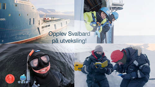 Bildet kan inneholde: yttertøy, arbeidsklær, produkt, hjelm, hanske.