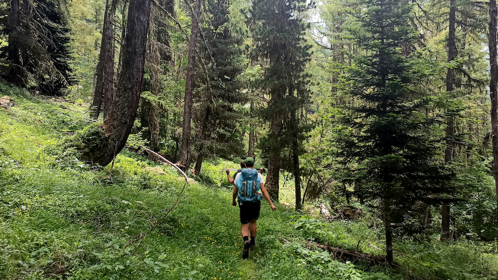 2 personer på tur i skoglandskap. Foto fra Unsplash