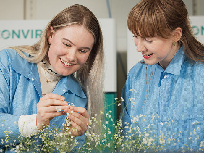 To kvinner i labfrakk studerer plante med hvite blomster.
