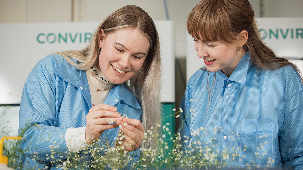 To kvinner i labfrakk studerer plante med hvite blomster.