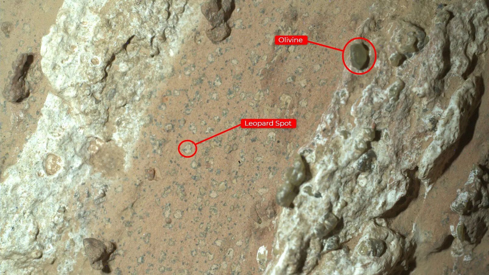 I en stein kalt «Cheyava Falls» på Mars fant forskere noe de kaller leopardflekker. Flekkene er interessante fordi de kan være tegn på liv. Foto: NASA/JPL-Caltech.