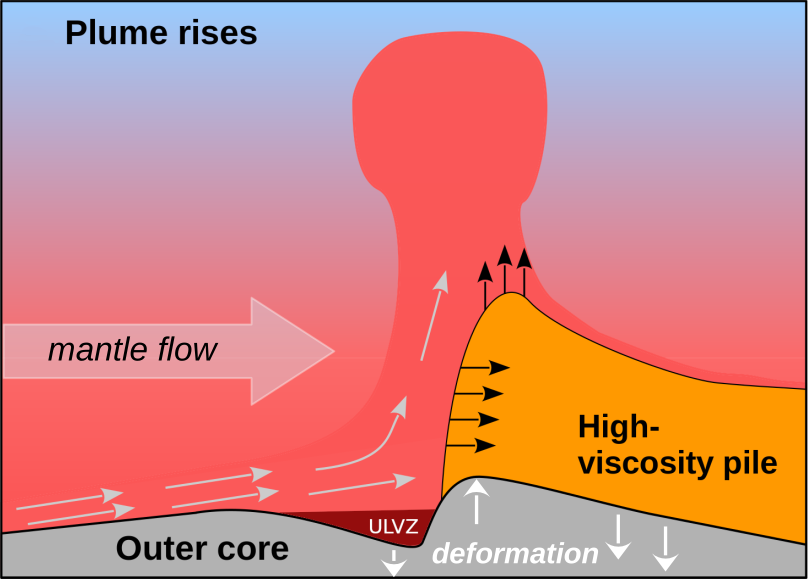 Illustration of a how plume rises. There is a read bulbous shape, with arrows going up and an arrowing pointing to it, stating "Mantle flow". Below and to the right of the shape is an orange field with upwards and right-facing arrows, with the inscription "High-viscoscity pile". At the bottom of the illustration is a grey field titled "Outer core", with arrows pointing up and down titled "deformation", and a small red field in a indentation under the bulbous shape titled "ULVZ".