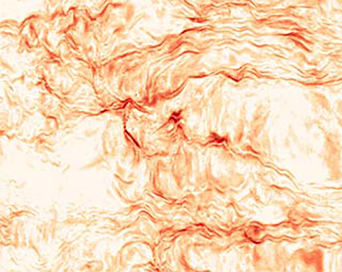 red orange filament structures on a white background