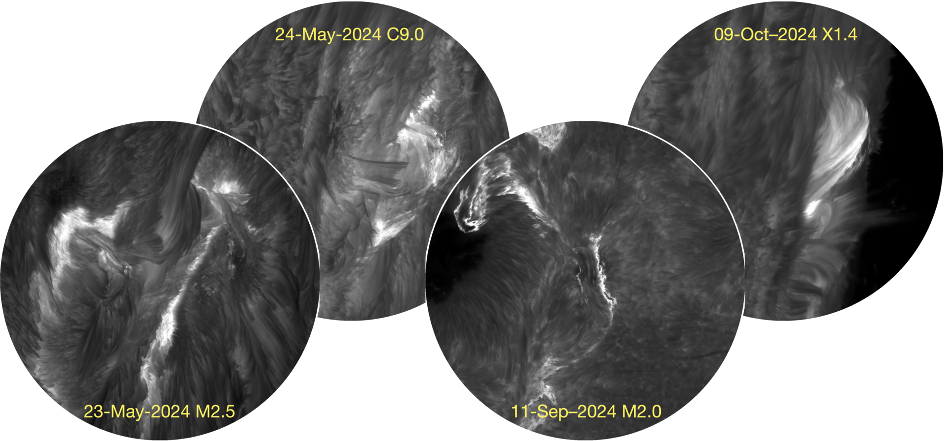 Four circular greyscale images show solar flares with bright, twisted structures in the Sun’s atmosphere. Each circle is labeled with the flare date and class: 23‑May‑2024 M2.5, 31‑May‑2024 C9.0, 11‑Sep‑2024 M2.0, and 09‑Oct‑2024 X1.4.