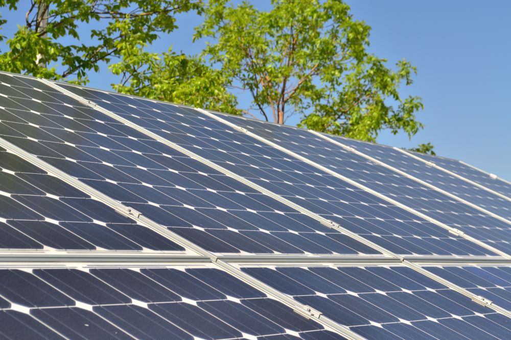 Picture showing solar panel with trees in the background.