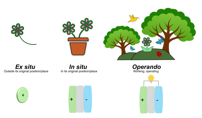 figure1_nafuma