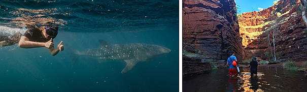 Foto: Bilder fra reisebrev på studieutveksling til Australia. Foto: Karoline Øie Olsen